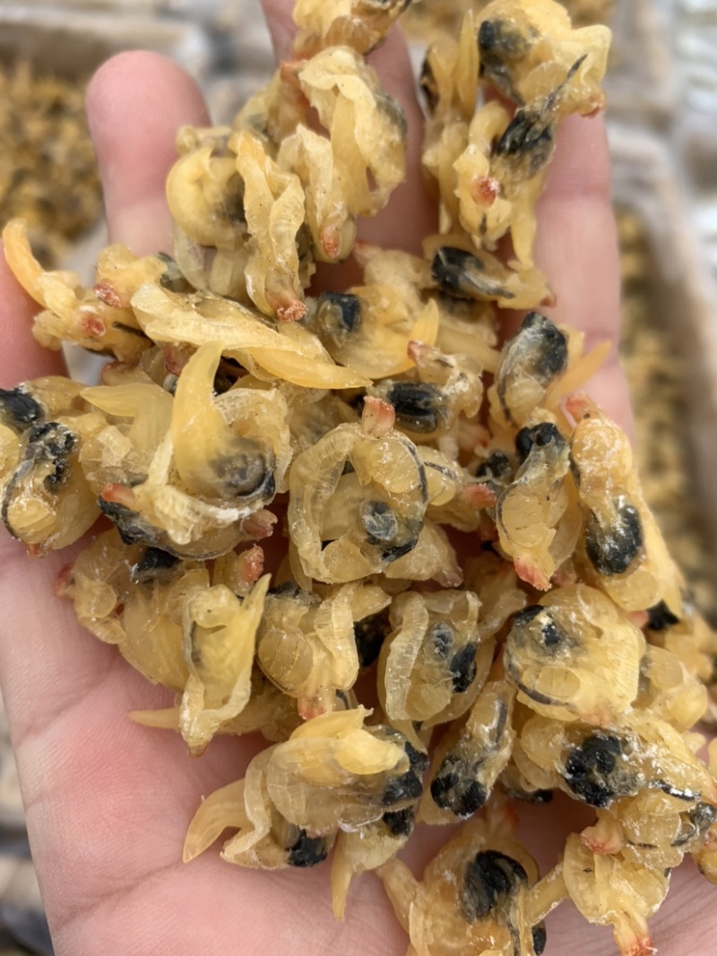 花甲肉，高品质，适合摆地摊，赶大集，易保存
