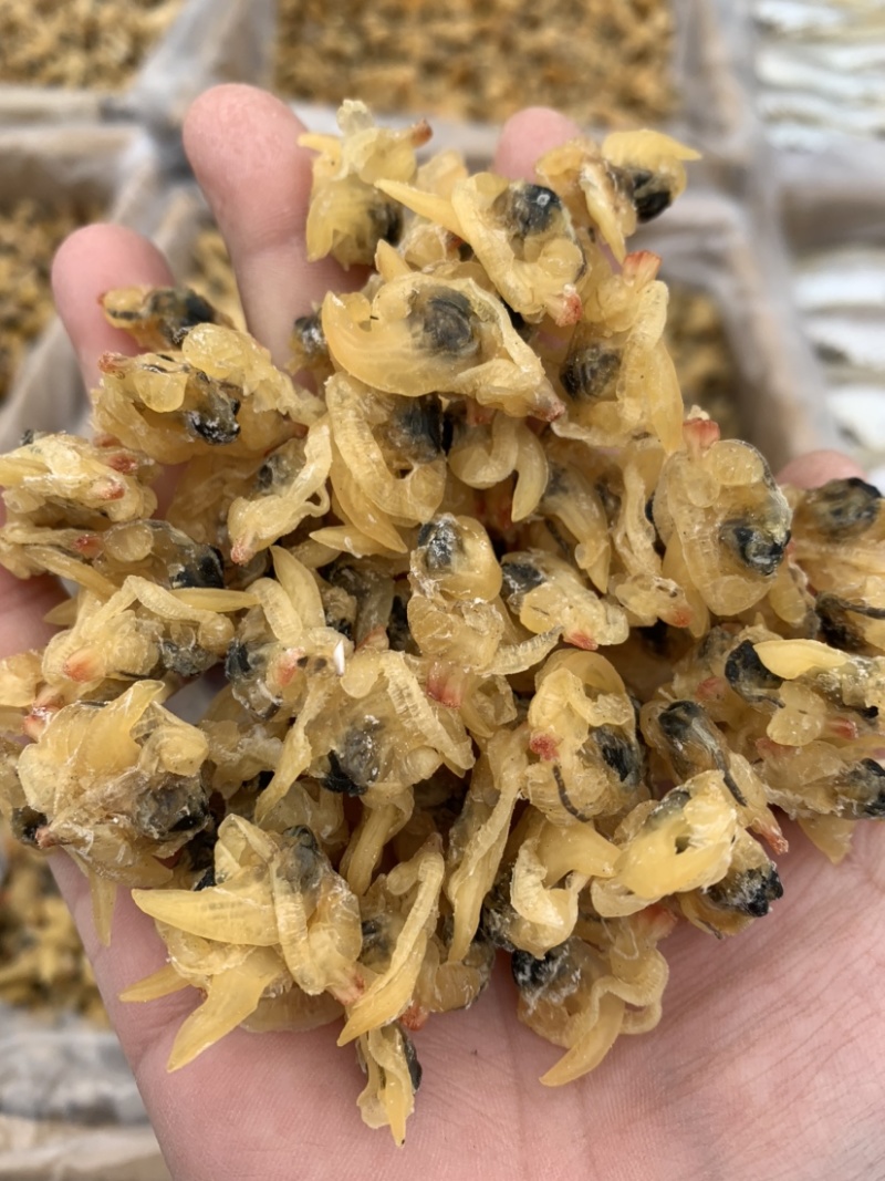 花甲肉，高品质，适合摆地摊，赶大集，易保存