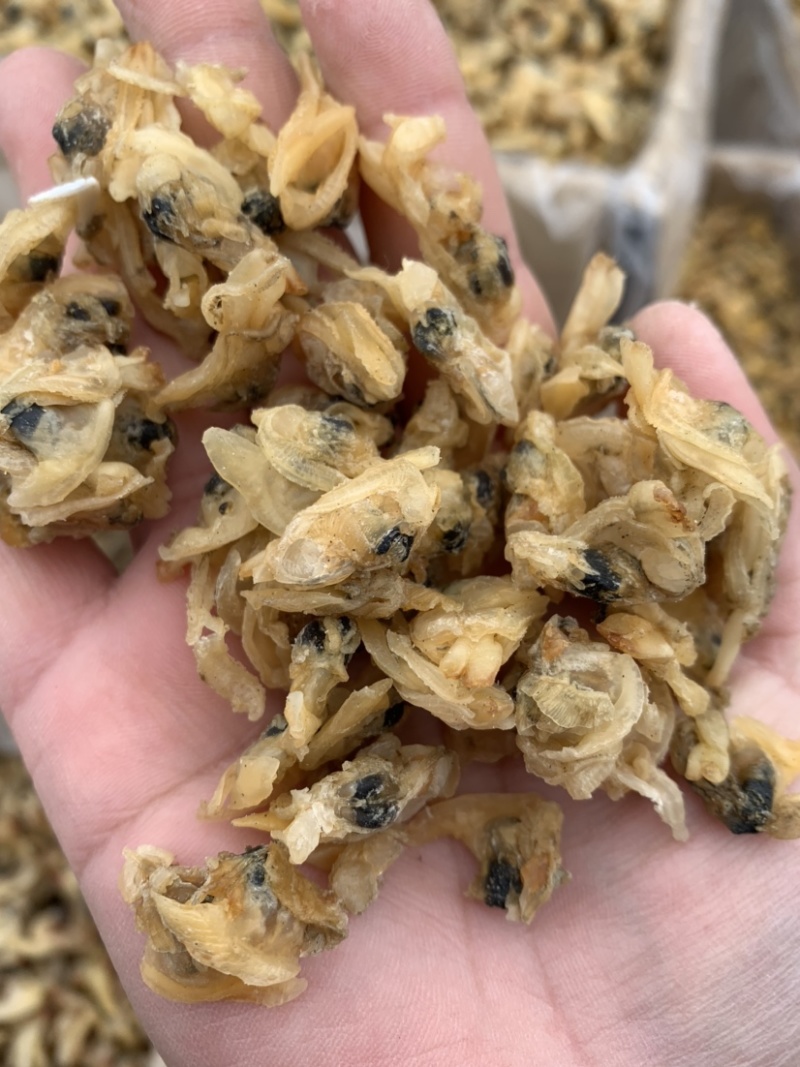 花甲肉，高品质，适合摆地摊，赶大集，易保存