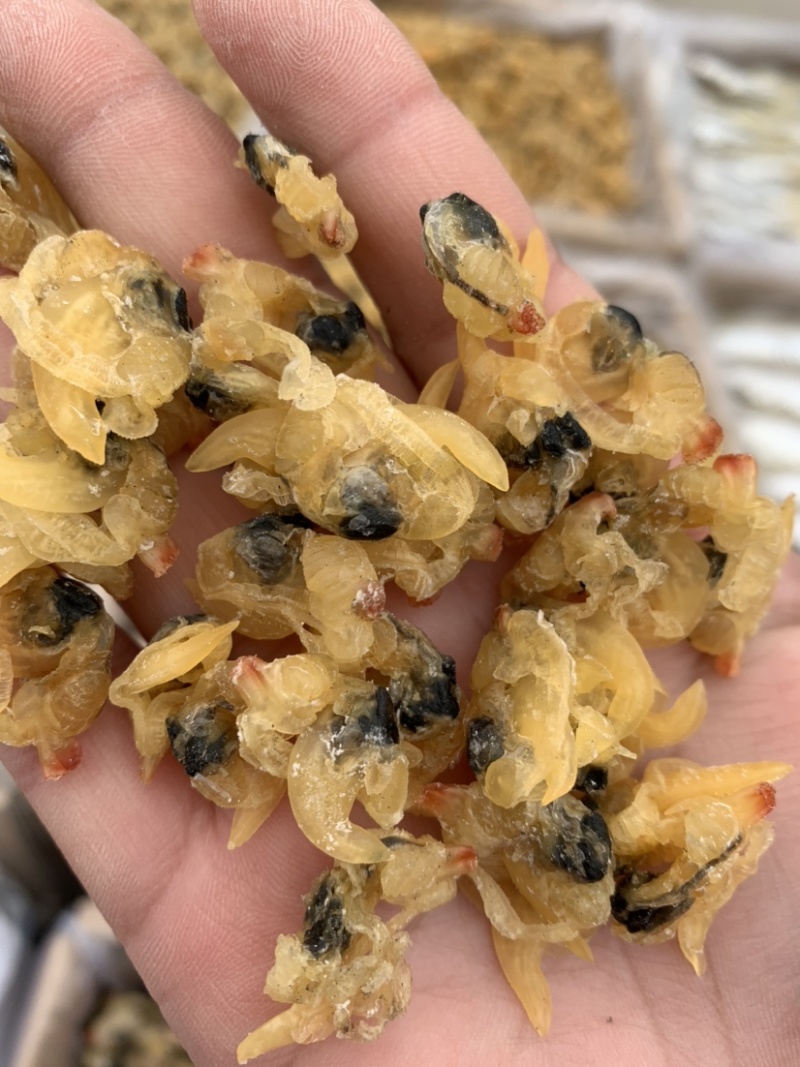 花甲肉，高品质，适合摆地摊，赶大集，易保存