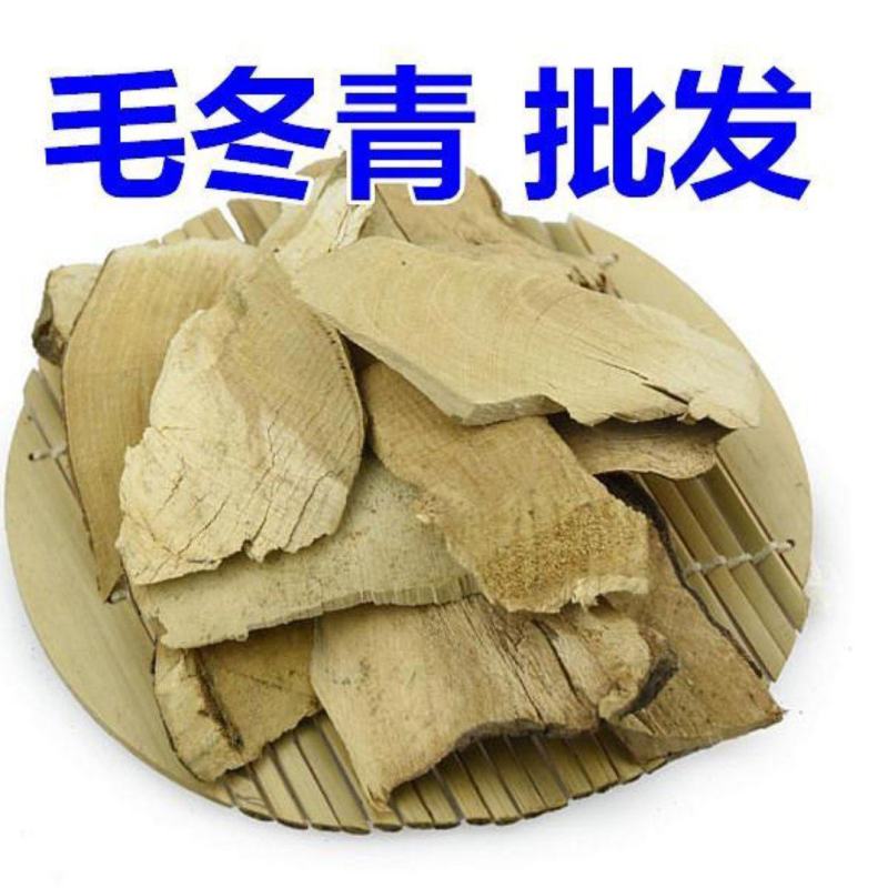 毛冬青中药材批发毛冬青质量保证量大从优