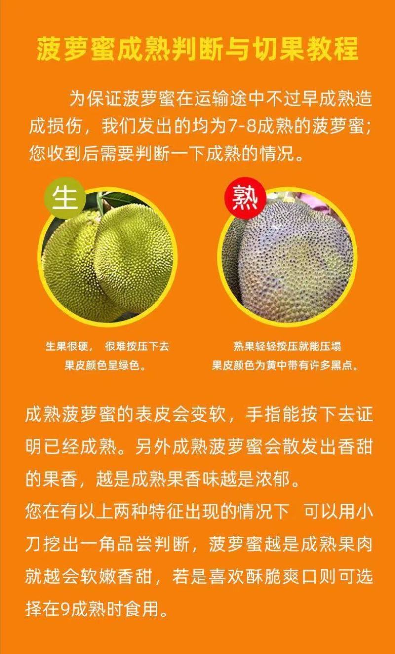 海南三亚黄肉菠萝蜜马来西亚三号假榴莲一整个菠萝蜜批发包邮