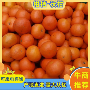 武鸣沃柑代收代发全国可大量供应支持一件代发欢迎致电