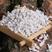 西瓜育苗用珍珠岩，大颗粒膨胀园艺珍珠岩，保湿锁肥透气