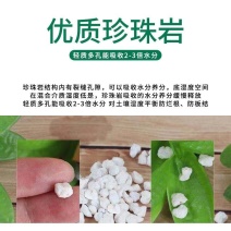 蔬菜育苗用珍珠岩，园艺大颗粒珍珠岩保湿锁肥透气，干净