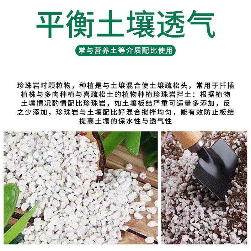 蔬菜育苗用珍珠岩，园艺大颗粒珍珠岩保湿锁肥透气，干净