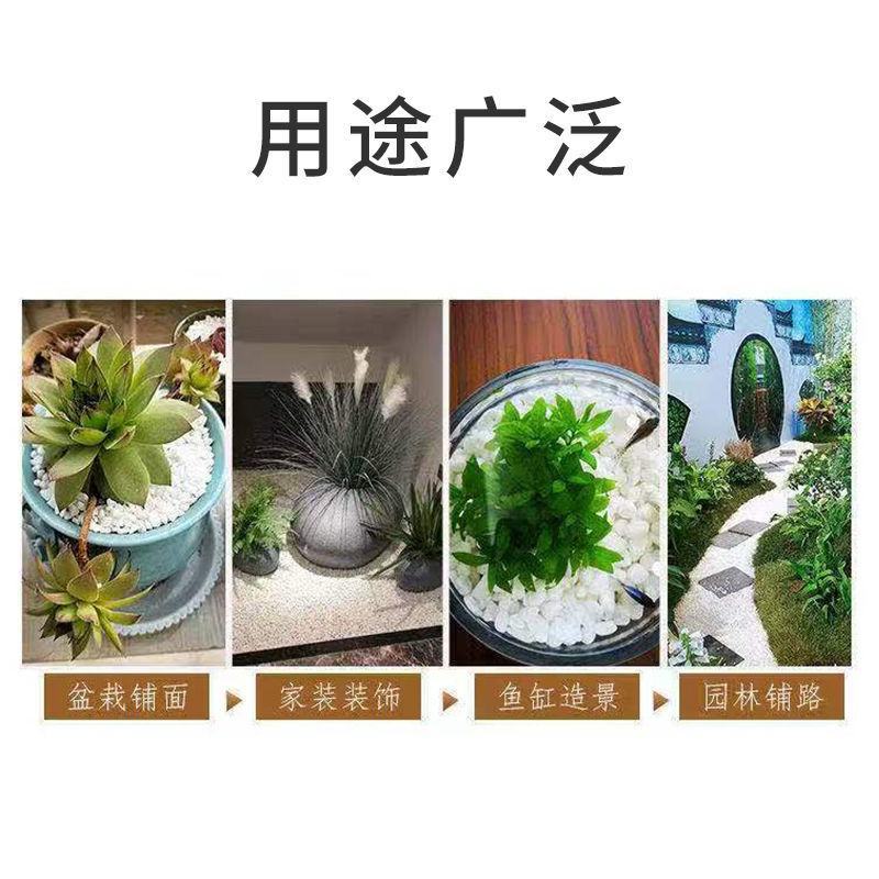 大颗粒兰花植料珍珠岩，保湿锁肥透气，翻盆垫底，干净粉尘少