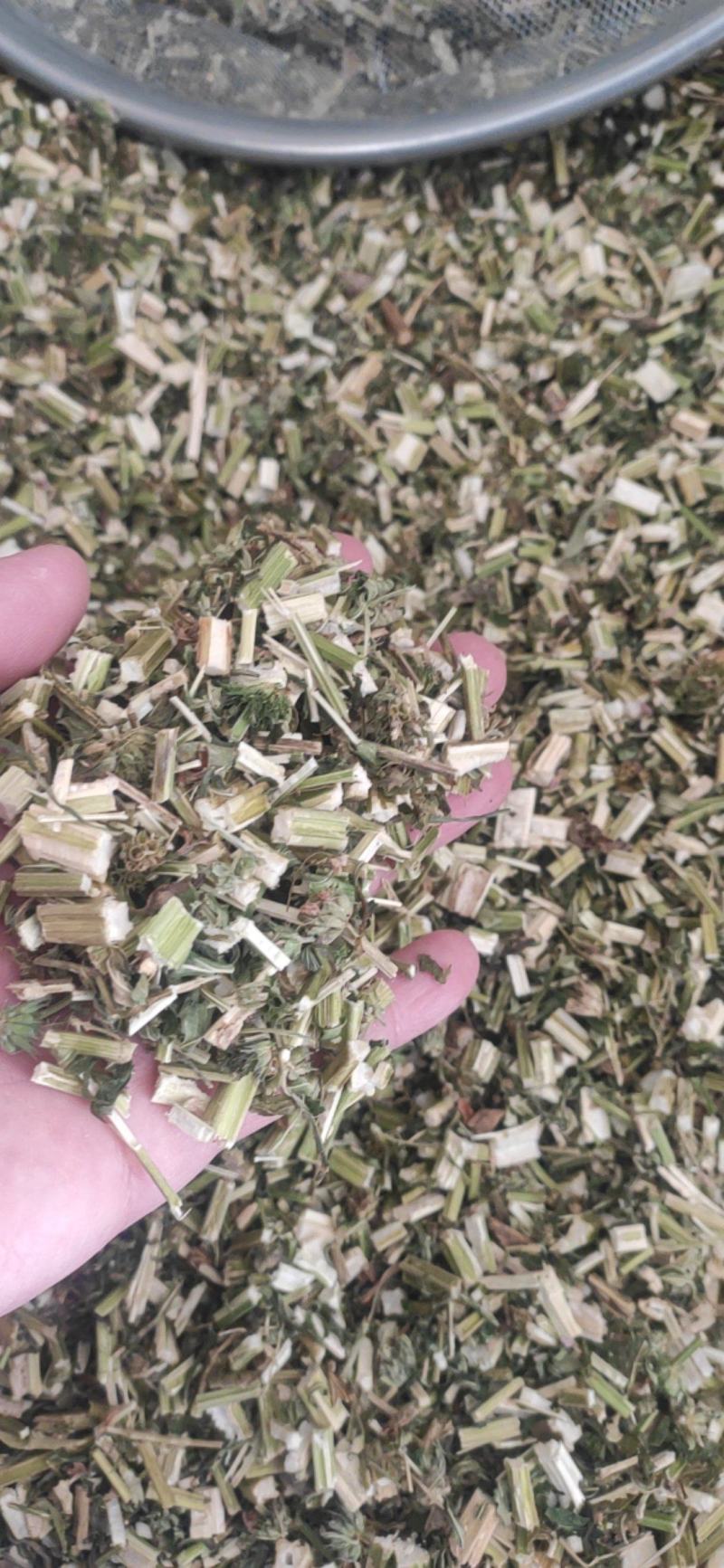益母草干货益母草坤草中药材草药量大从优