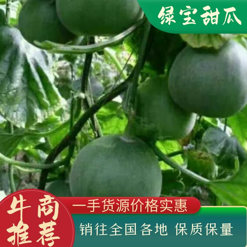 绿宝甜瓜绿宝甜瓜大量供应实力代办一件代发