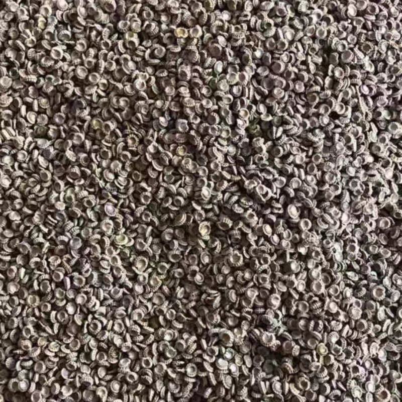 【精选】粉防己种子江西基地货源发往全国价格美丽