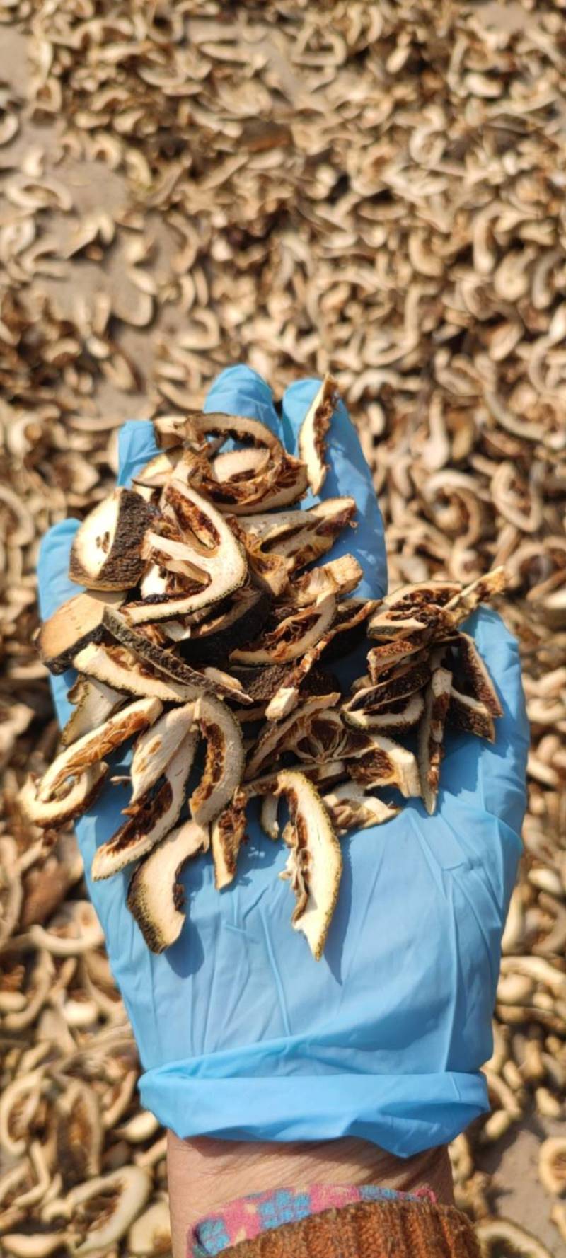 枳壳江西枳壳无硫新货现货供应批发零售