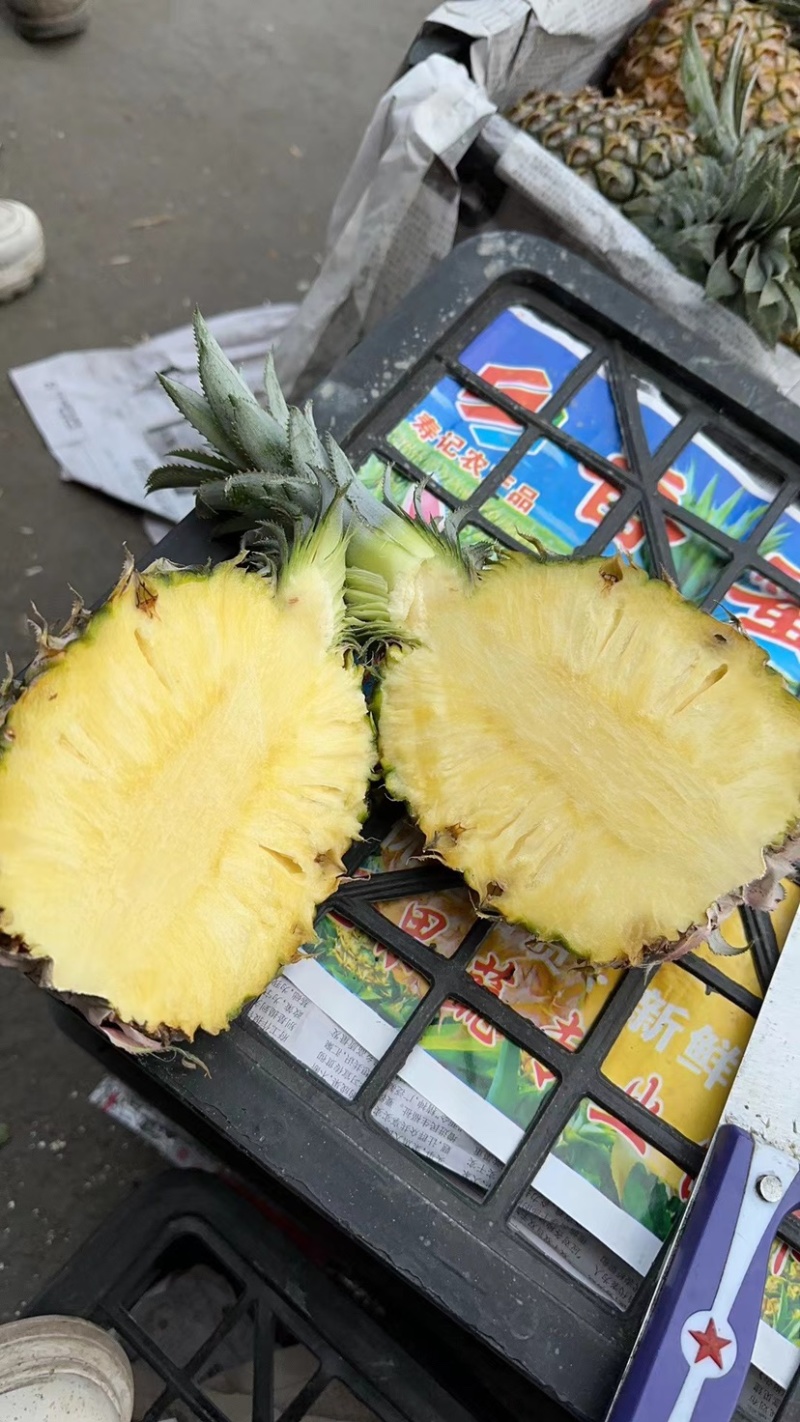 精品河北菠萝，规格均匀，大量供应，价格优惠，保质保量可看