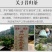 新品普洱茶生茶茶叶饼茶2017头春春茶昔归古树茶云南