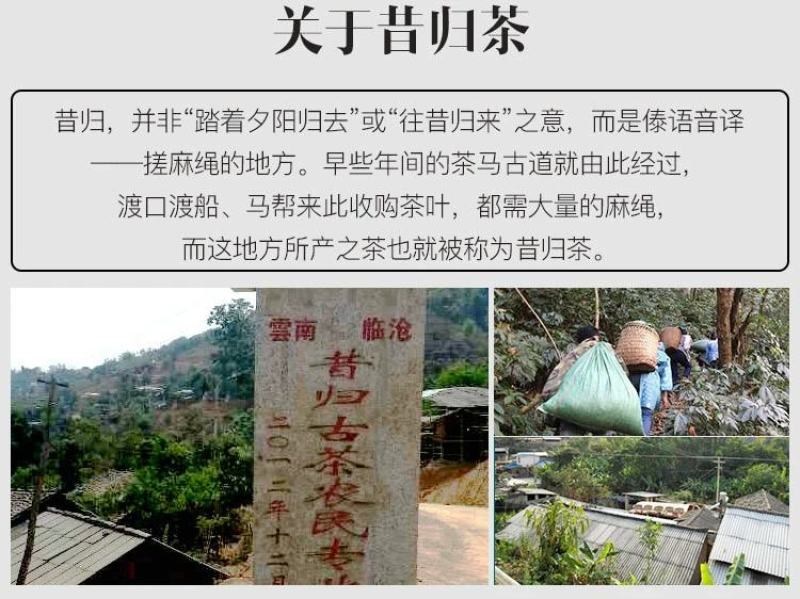 新品普洱茶生茶茶叶饼茶2017头春春茶昔归古树茶云南
