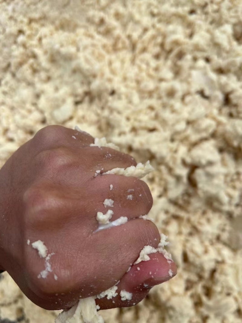 新鲜豆奶渣