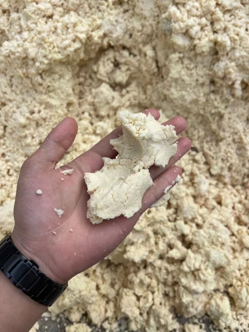 新鲜豆奶渣