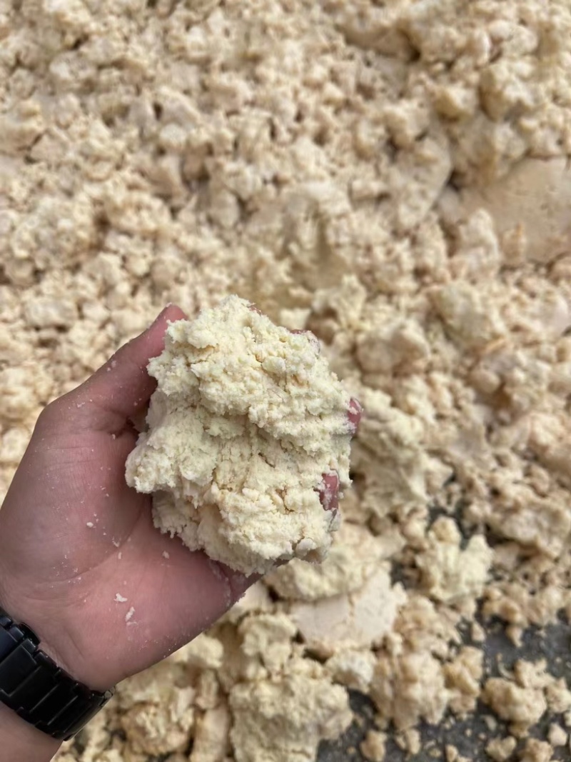新鲜豆奶渣