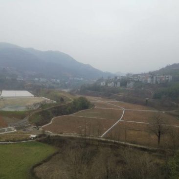 旬阳土地三千亩面向社会寻求项目合作，种植养殖皆可。有意请联系