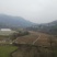 旬阳土地三千亩面向社会寻求项目合作，种植养殖皆可。有意请联系