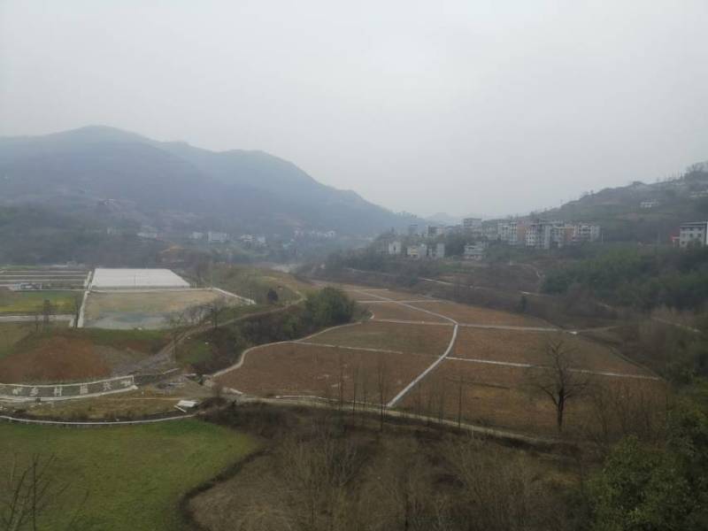 旬阳土地三千亩面向社会寻求项目合作，种植养殖皆可。有意请联系