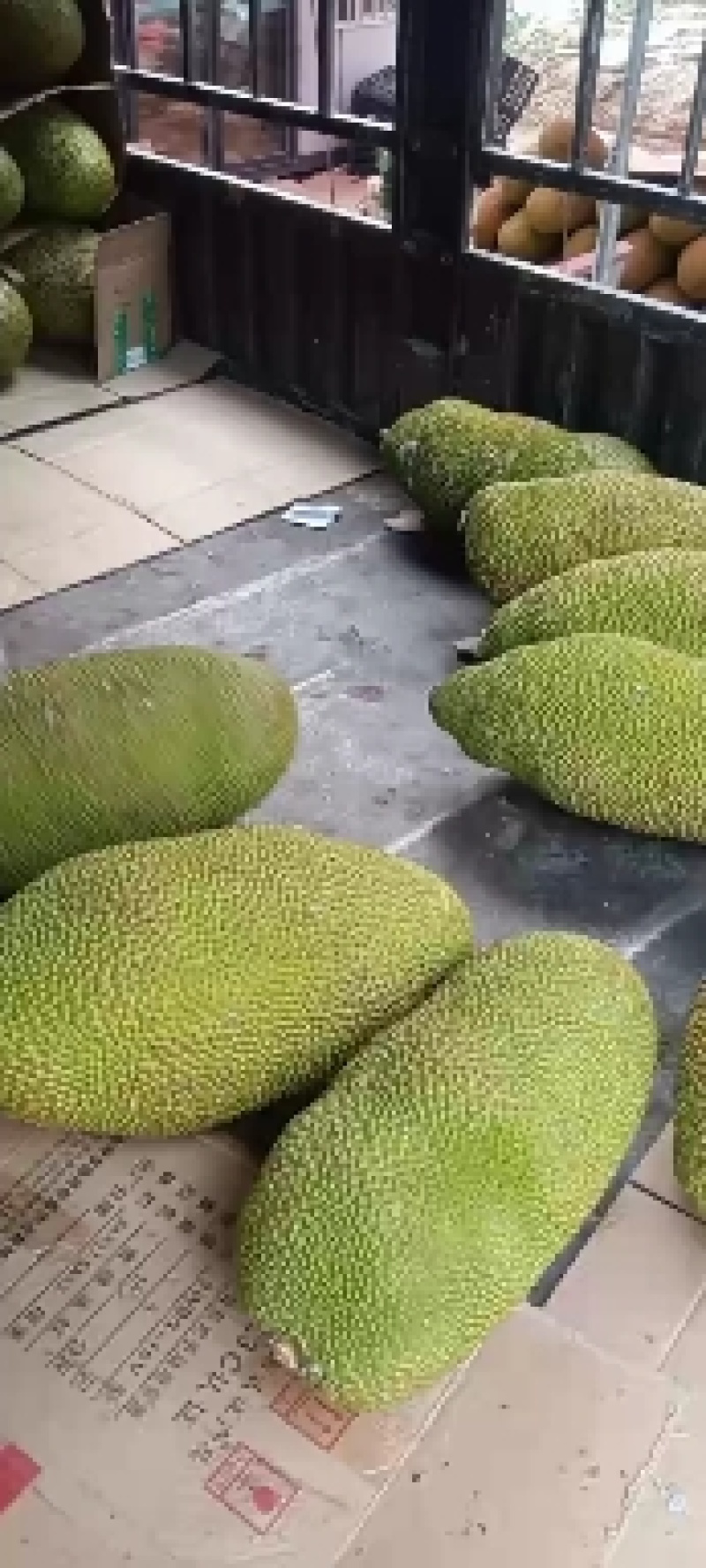 正宗海南菠萝蜜对接电商超市货社区团购全国代发