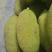 正宗海南菠萝蜜对接电商超市货社区团购全国代发