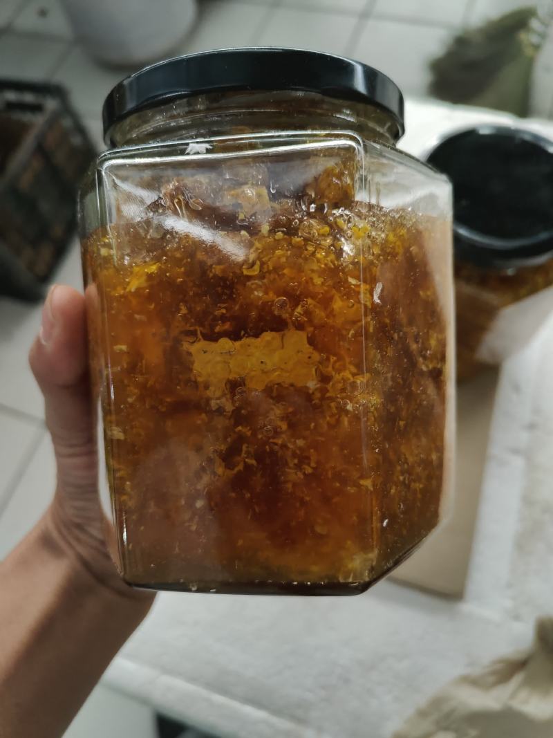 南普洱野生蜂蜜_一瓶800克带巢