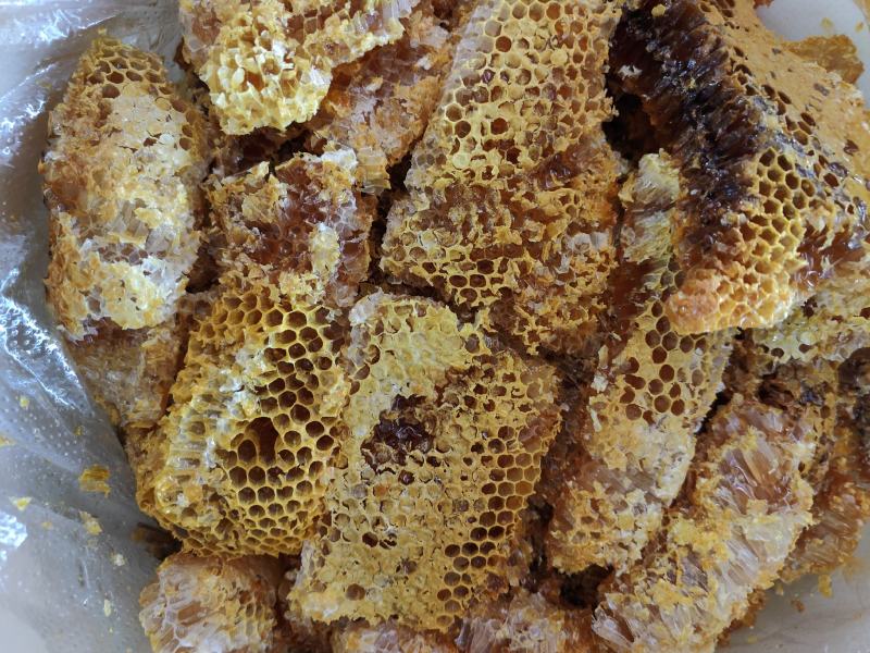 南普洱野生蜂蜜_一瓶800克带巢
