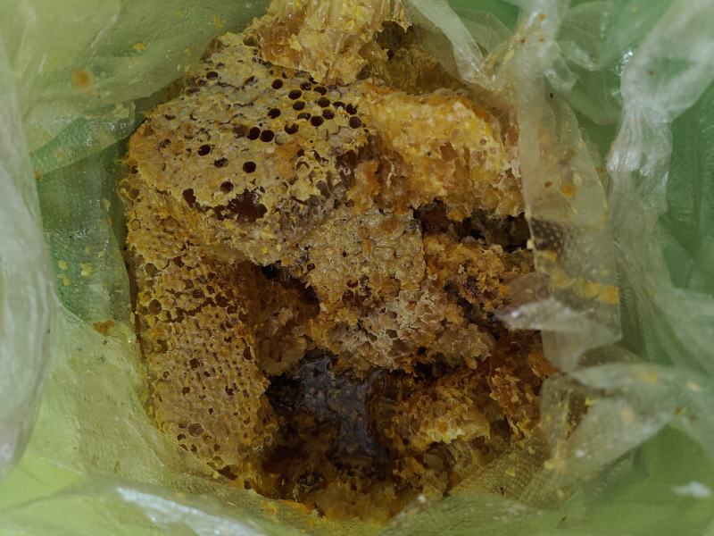 南普洱野生蜂蜜_一瓶800克带巢
