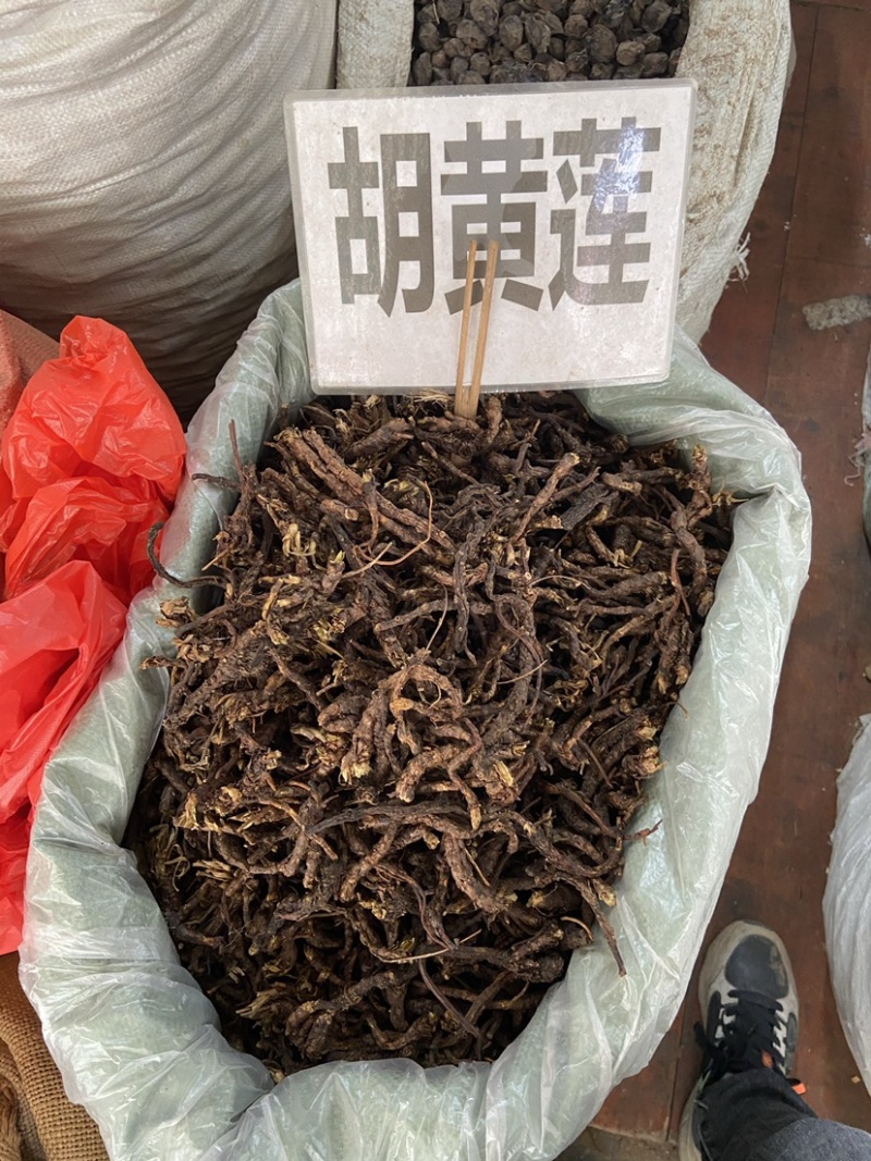 中药胡黄连胡黄连批发正品胡黄连正宗胡黄连西藏胡黄连