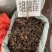 中药胡黄连胡黄连批发正品胡黄连正宗胡黄连西藏胡黄连