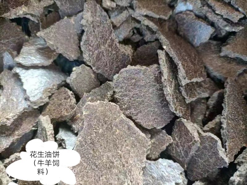 花生油饼牛羊饲料