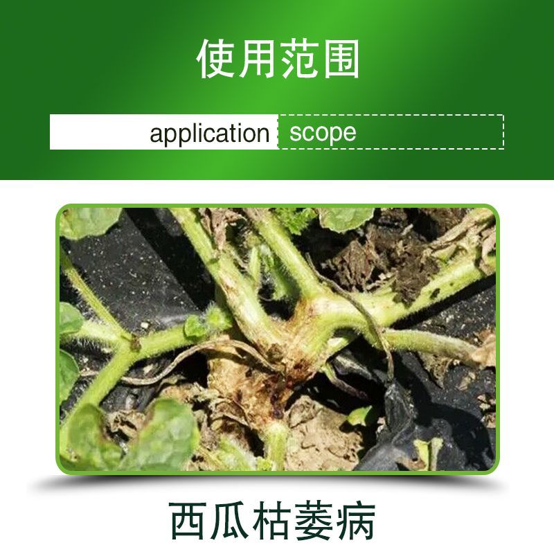 绿亨效悠98%恶霉灵根腐病烂根立枯病猝倒病枯萎病土壤消