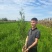 侧柏小苗30公分60公分80公分