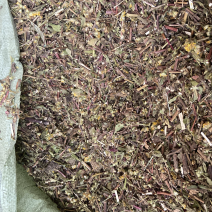 野生一枝黄花新鲜干货黄花草中草药老虎尿中药材批发价