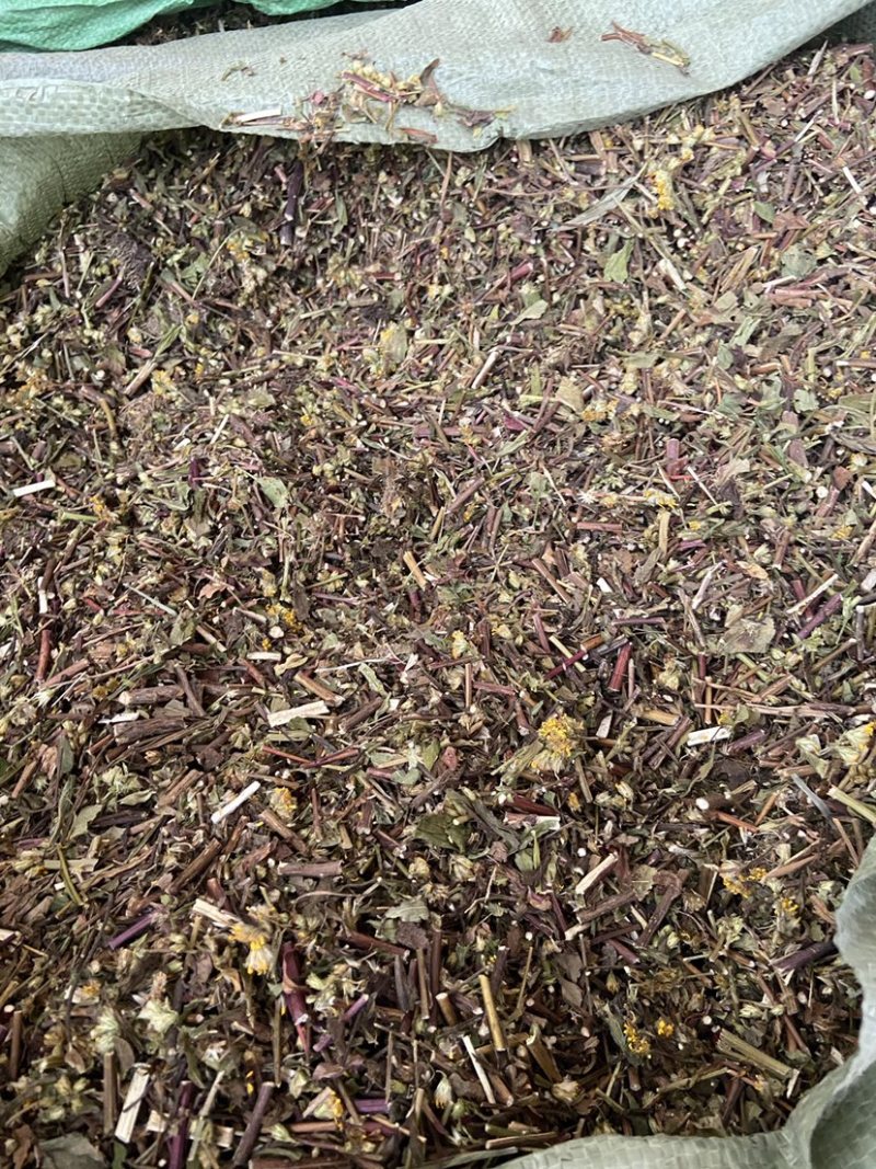 野生一枝黄花新鲜干货黄花草中草药老虎尿中药材批发价