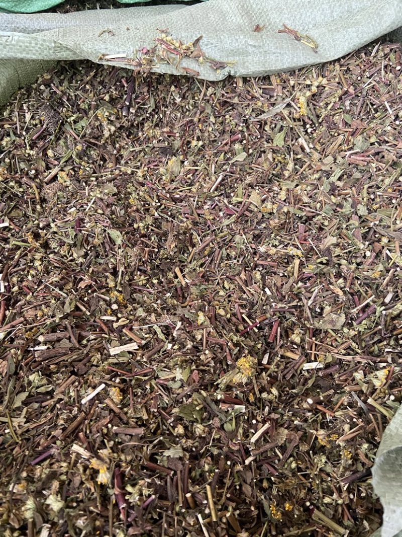 野生一枝黄花新鲜干货黄花草中草药老虎尿中药材批发价