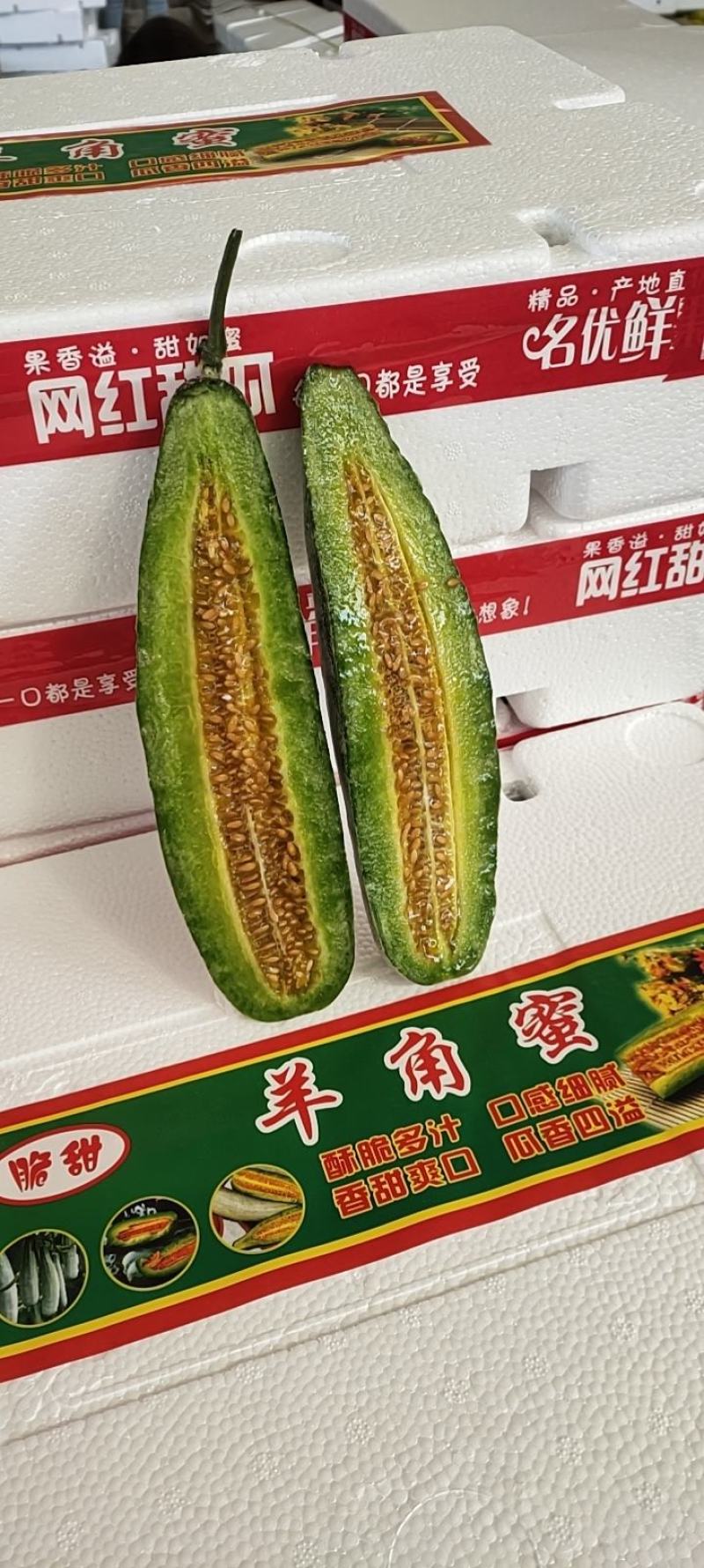 山东羊角蜜，蜜源十八，博洋甜瓜，博洋9，整车出货甜甜甜甜