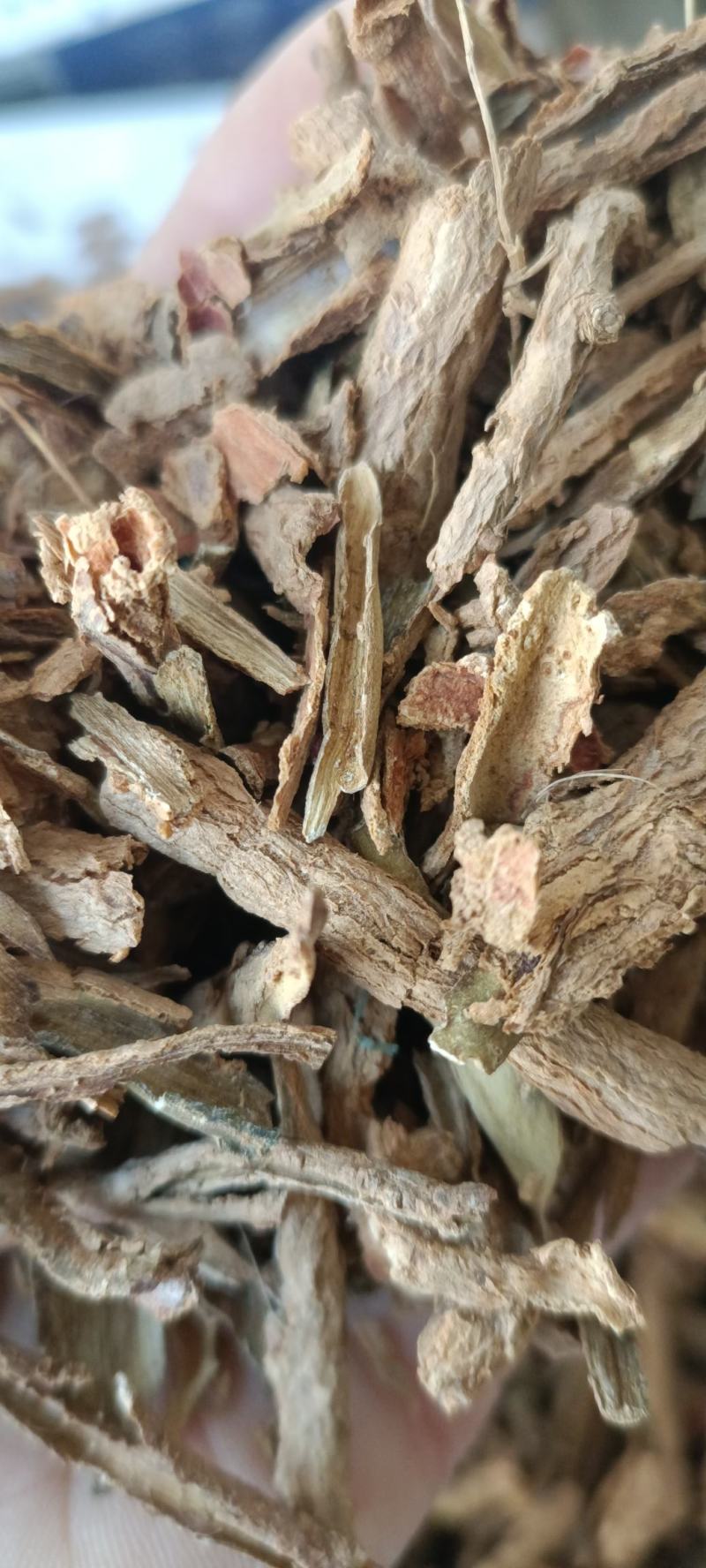地骨皮，水洗地骨皮，规格齐全，欢迎各位老板看货下单