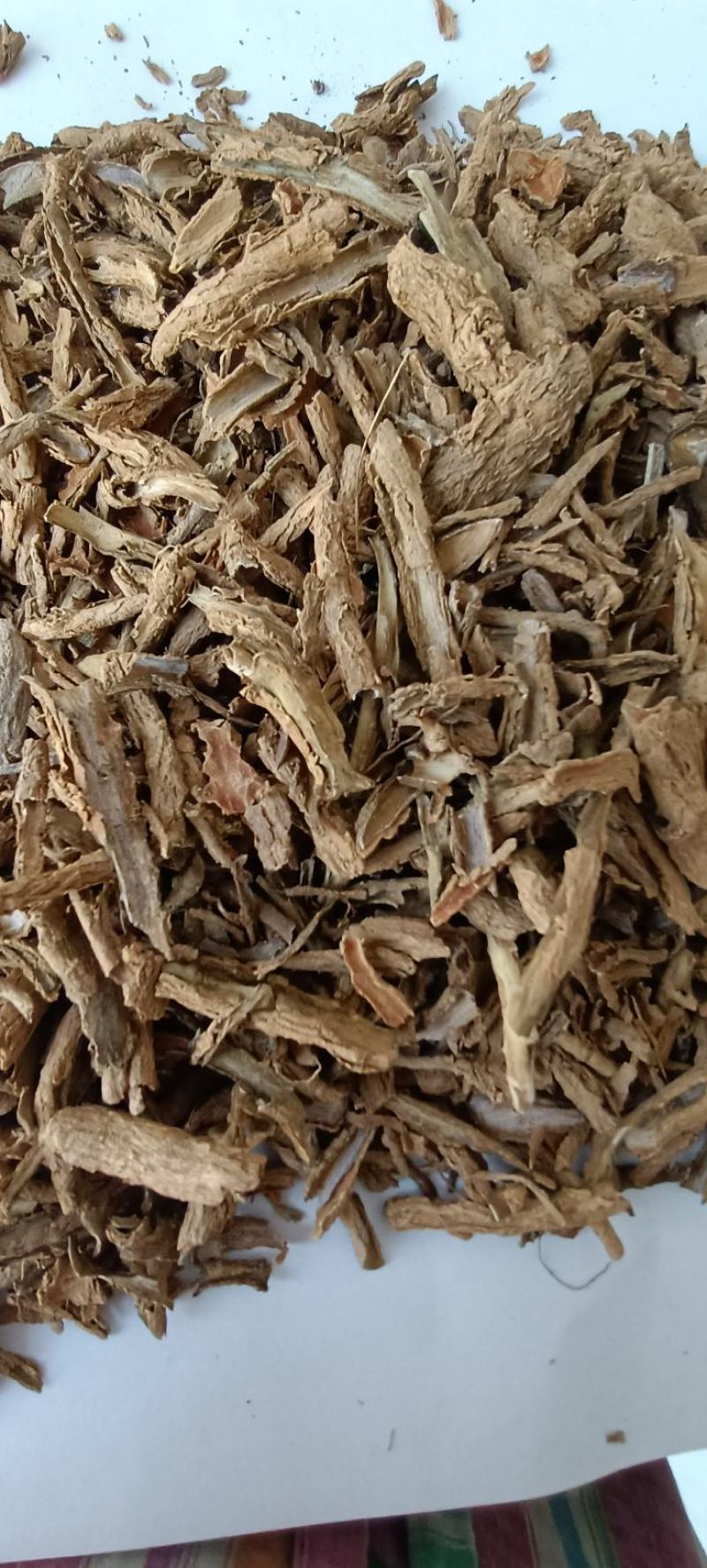 地骨皮，水洗地骨皮，规格齐全，欢迎各位老板看货下单