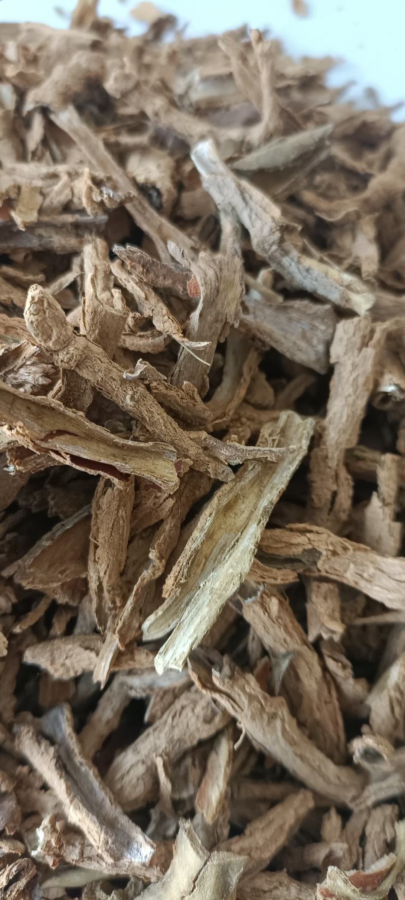地骨皮，水洗地骨皮，规格齐全，欢迎各位老板看货下单