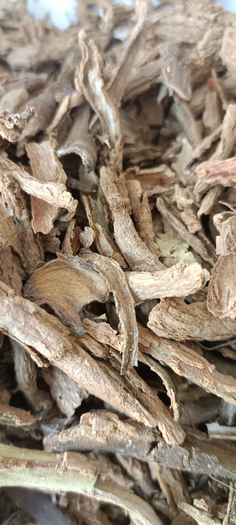 地骨皮，水洗地骨皮，规格齐全，欢迎各位老板看货下单