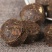 熟茶糯米香沱