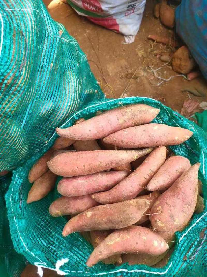 西瓜红电商一两起二两起大量有货价格优惠
