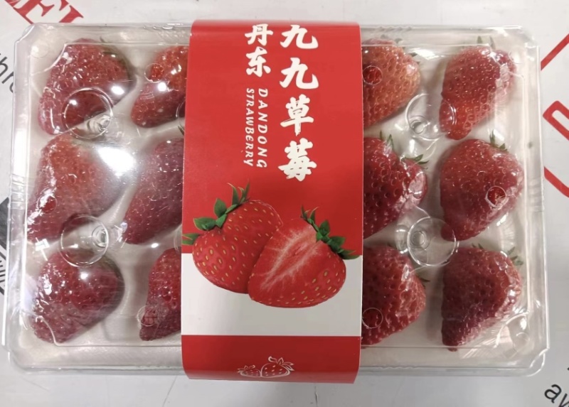 丹东红颜九九草莓防摔水晶胶盒礼盒，产地直发假一赔十！