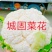 【陕西汉中菜花】乳白紧花产地直供2一4斤全国代发视频看货