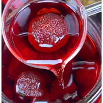 杨梅酒低度果酒