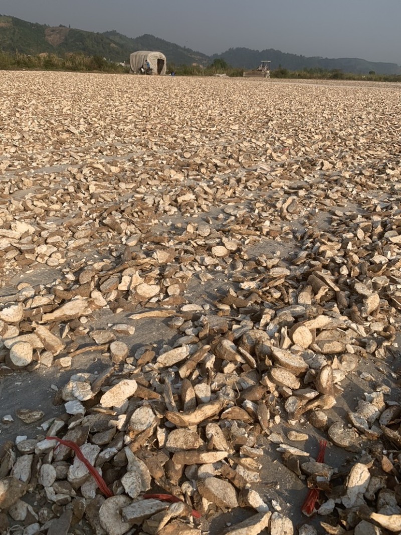 越南干木薯片，货真价实，全部诚信交易，走正规方式