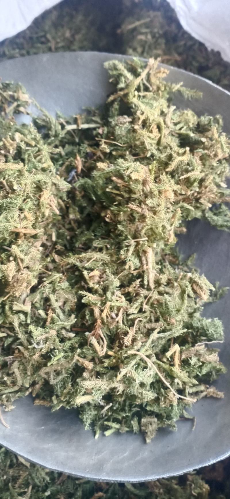 【伸筋草】产地云南.一手货源大货供应.规格齐全量大优惠