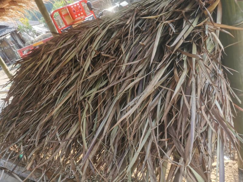 僾尼人专用草排